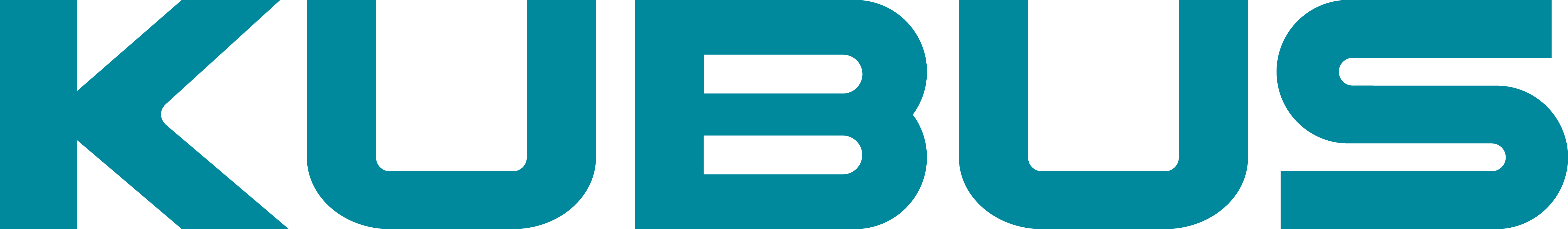 KUBUS - recruitment partner van BlueCashew